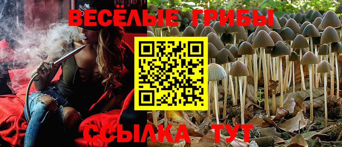 Псилоцибиновые грибы MAGIC MUSHROOMS  где найти наркотики  Верхняя Пышма  Псилоцибиновые грибы Psilocybe  Вход с VPN 
